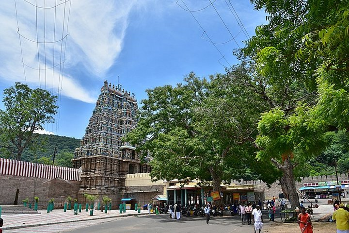 Nature & Spiritual Trails of Madurai (2 Hours Guided Walking Tour) - Photo 1 of 6