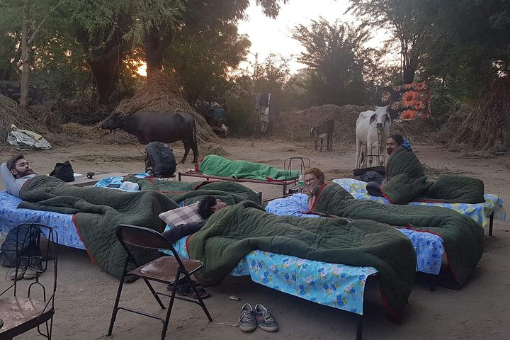 When you visit a village