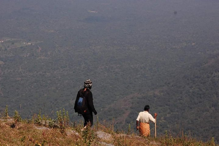 Ooty - Day Trip to Bellikkal Estate - Photo 1 of 24