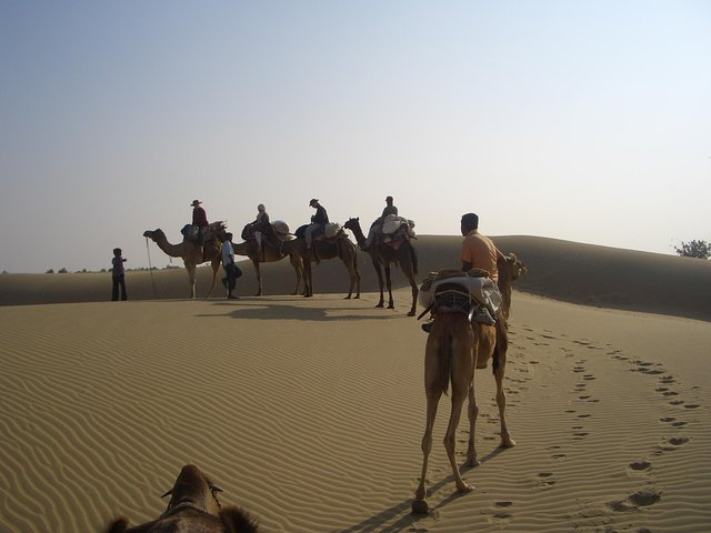 Shahi Over Night camel safari non touristic sand dune  - Photo 1 of 16