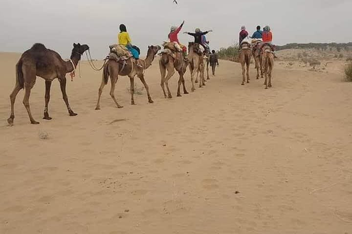 Non touristic tour by camel ride in desert 
