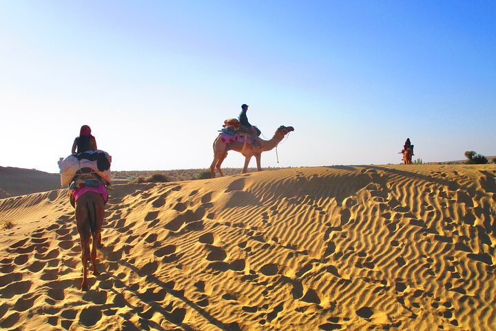 Enjoy you Camel Ride in a peaceful part of Thar Desert