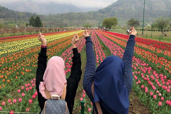 Private 5-Day Kashmir Tour Package