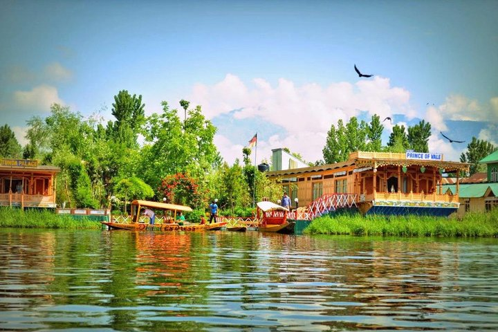 Splendid KashmirTour
