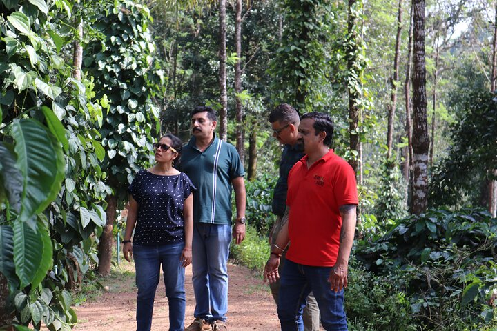 Lush green environment and a bird song to accompany a knowledgeable guide on the tour. 