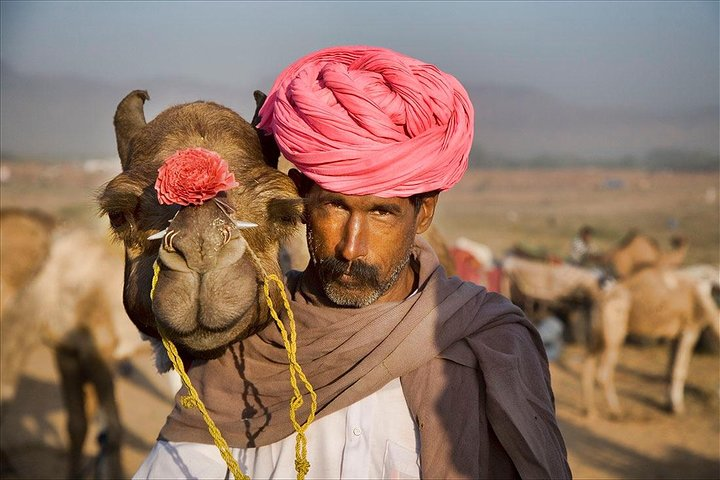Private One Way Transfer From Pushkar To Jaipur In AC Vehicle - Photo 1 of 7