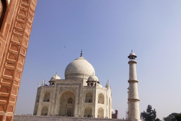 Taj day tour