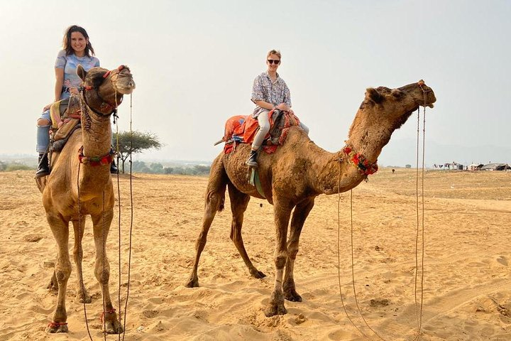 Pushkar Camel Safari
