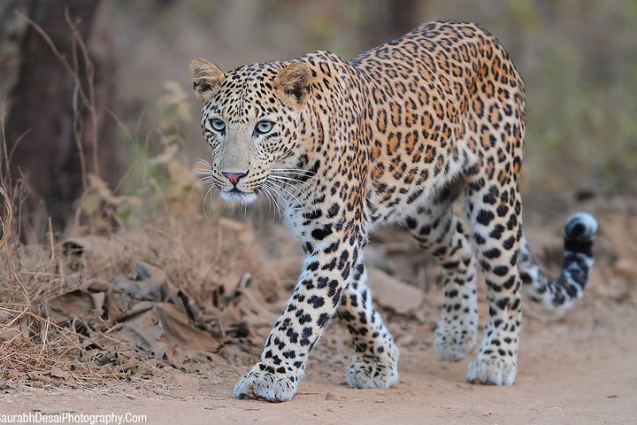 Rajasthan with Gujarat Tour - Photo 1 of 9