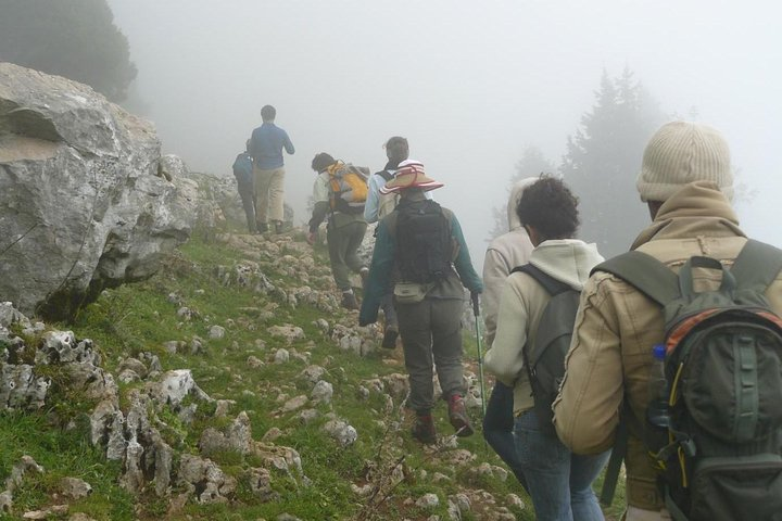 Rishikesh To Kunjapuri Trek - Photo 1 of 7