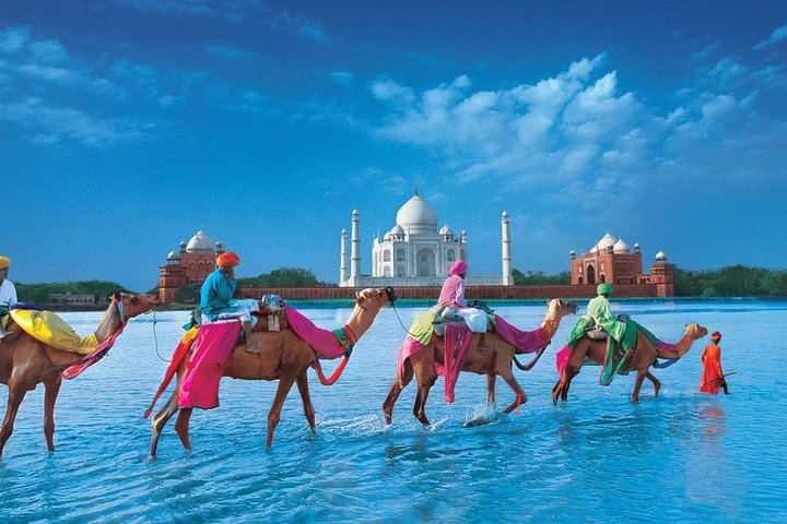 Same Day Luxury Taj Mahal Tour by Ac Car - Photo 1 of 4