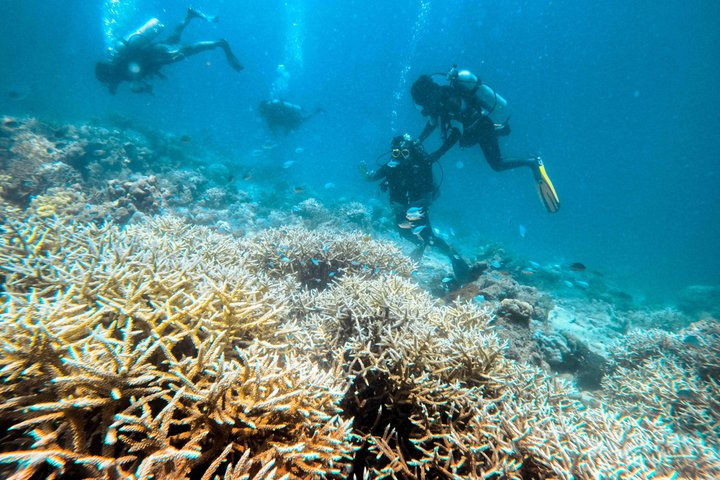 Scuba Diving For Non Swimmers with Experience Scuba - Photo 1 of 8