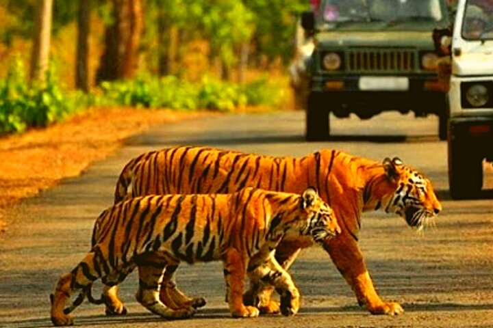 2-Day Private Taj Mahal Sunrise Trip from Kochi with Flights - Photo 1 of 9