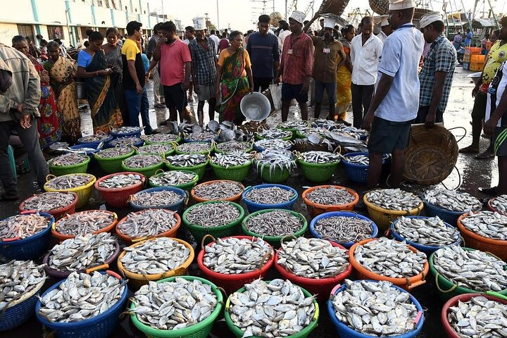 Splendid Chennai: Private Half Day Tour of Chennai - Photo 1 of 4