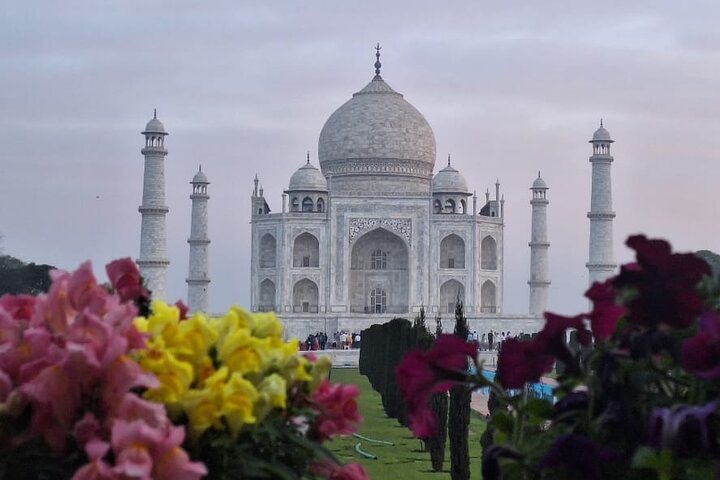 Same Day Taj Mahal and Red Fort from Ahmedabad by Air - Photo 1 of 21