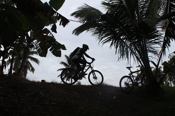 Sunset Ride along Alappuzha coast - Photo 1 of 4