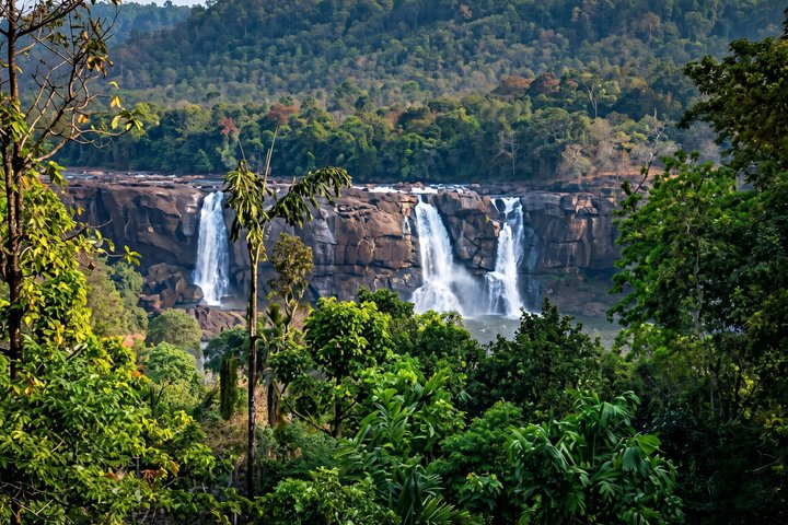 Best of Kerala: 8-Day Private Tour with Hotel & Houseboat Stay - Photo 1 of 25