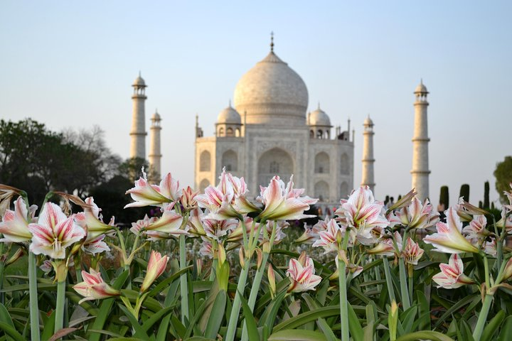 Taj Mahal and Agra Overnight Tour Package from Chennai with Flight