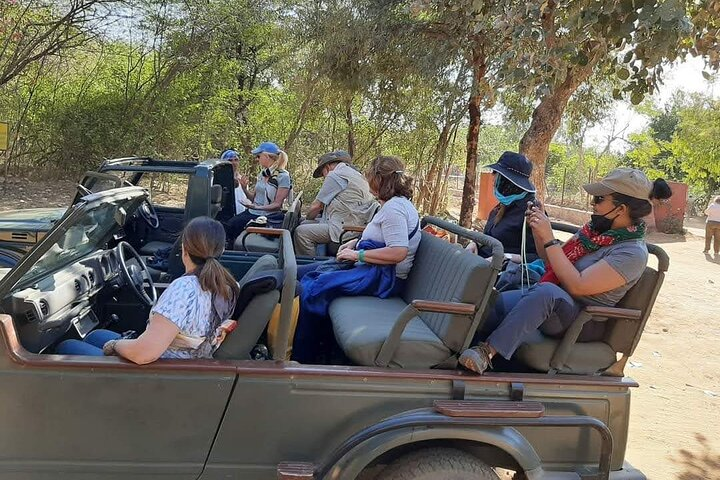 Taj Mahal Tour + Tiger Safari - Photo 1 of 14