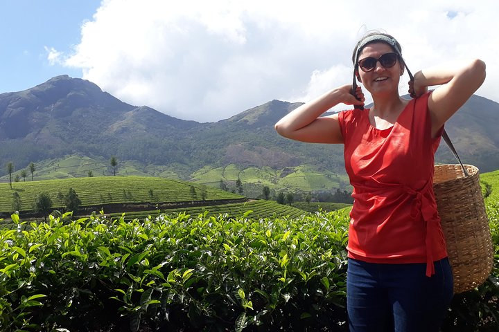Tea Farm Tourism  - Photo 1 of 16