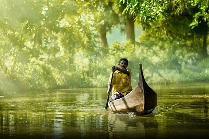 7 Days Cochin Munnar Thekkady Alleppey Houseboat Special - Photo 1 of 7