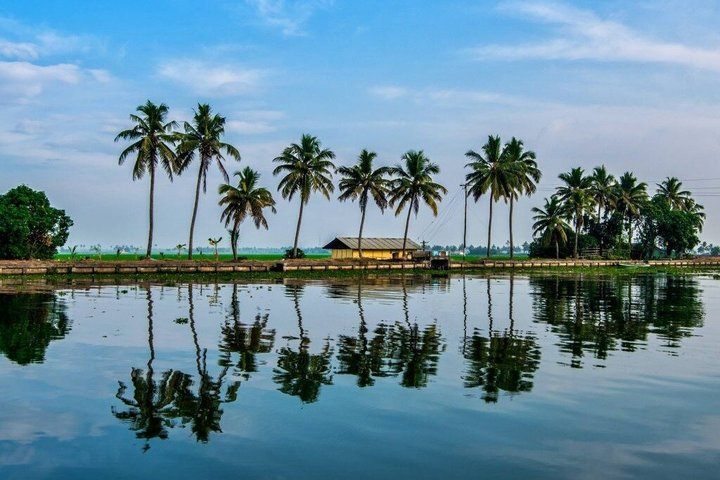Cochin: 5-Day Kerala Tour with Houseboat and Wildlife - Photo 1 of 11