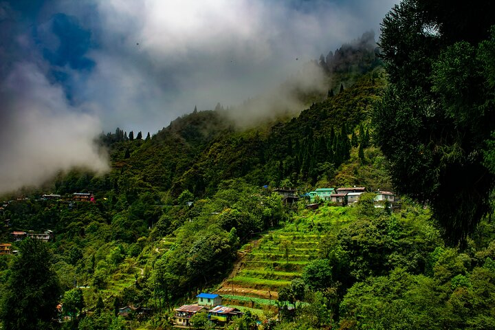 Tiger Hill Darjeeling Nature Walk (3 Hours Guided Trekking Experience) - Photo 1 of 6