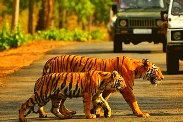 2-Day Private Luxury Jaipur Trip from Delhi - Photo 1 of 10