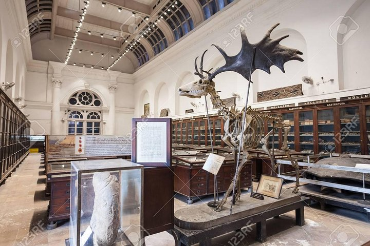 Kolkata Indian Museum Tour - Photo 1 of 5