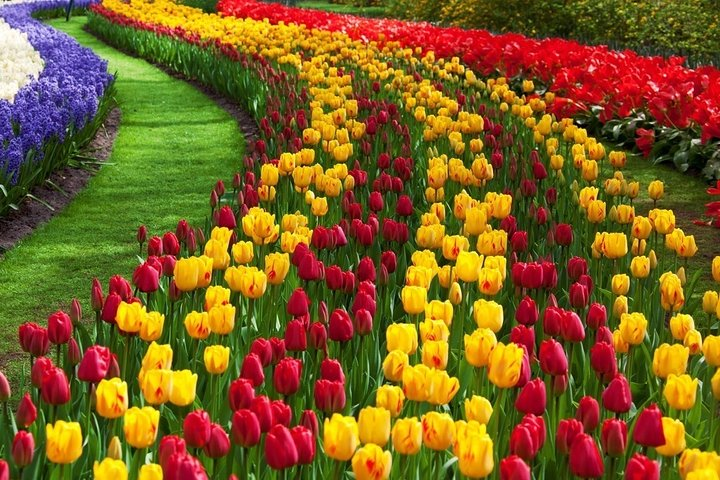 Treasure of Gardens - Photo 1 of 2