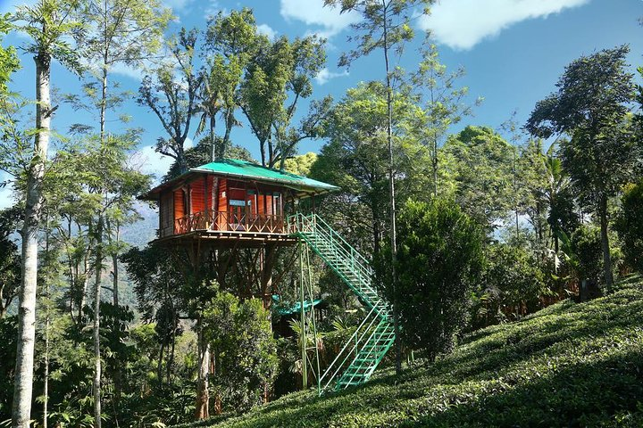 Treehouse stay in munnar - Photo 1 of 10