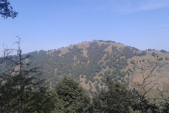 Trek to Benog Tibba - Photo 1 of 6
