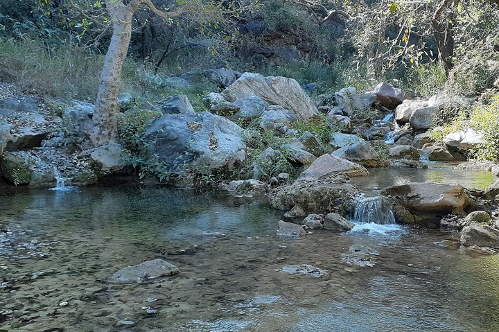 Trekking in Kumbhalgarh  - Photo 1 of 19