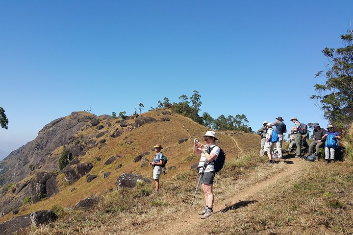 Trekking in Munnar - Photo 1 of 6
