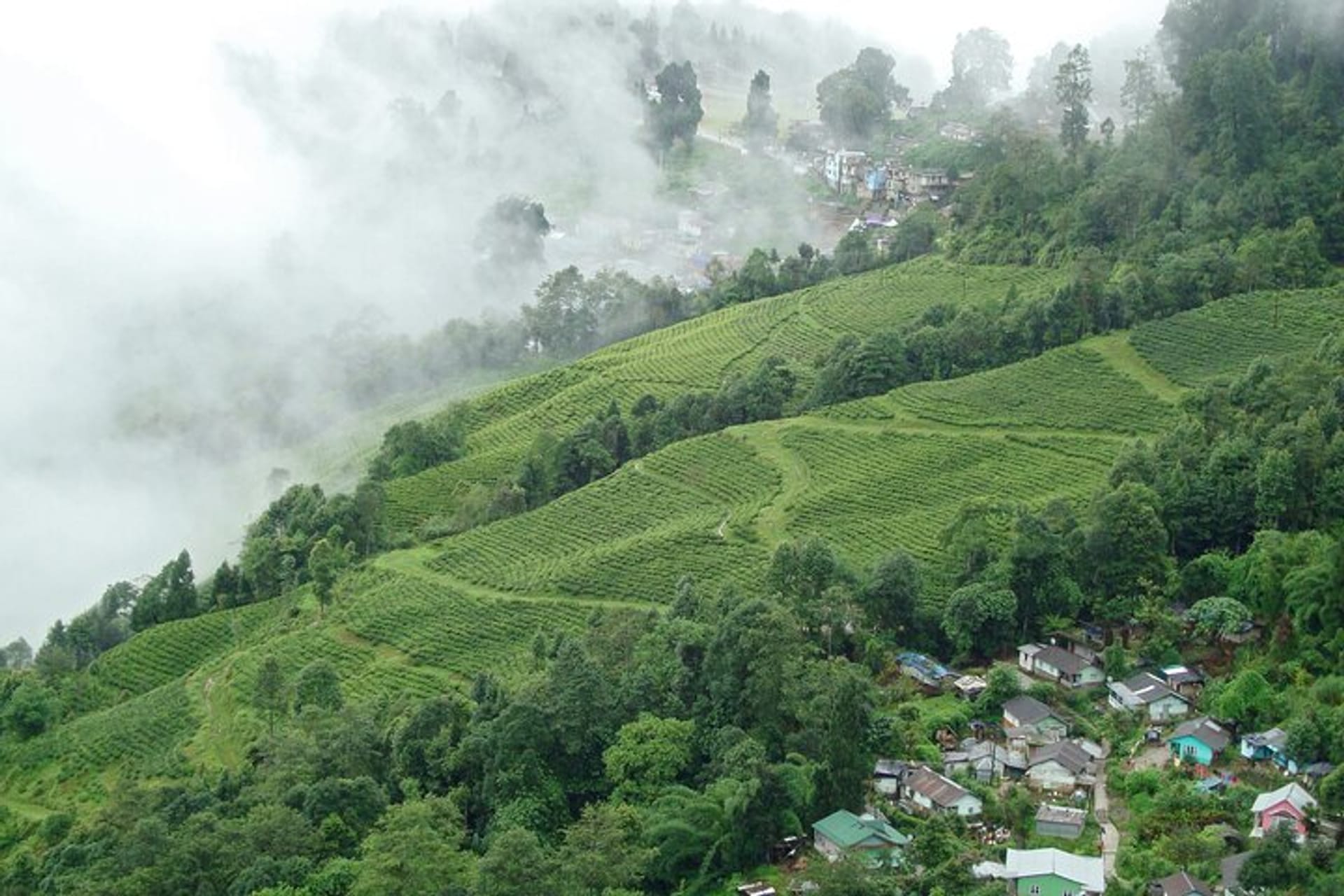 大吉岭的Trip to Tiger Hill Darjeeling | Pelago