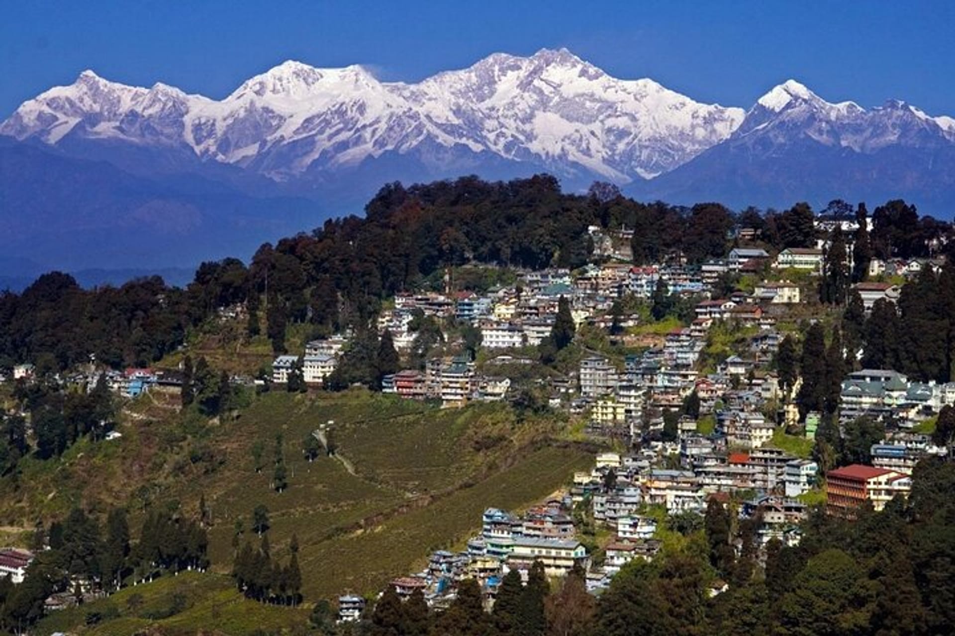 大吉岭的Trip to Tiger Hill Darjeeling | Pelago