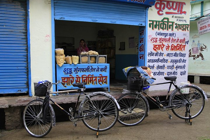 Udaipur by Cycle 
