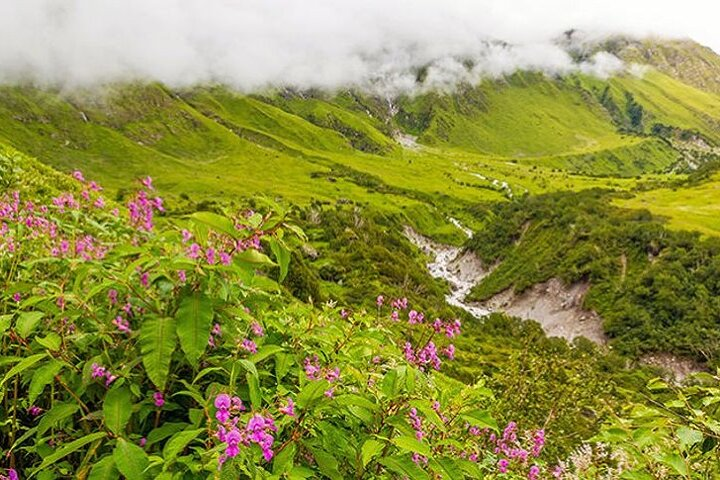 Valley of Flowers and Hemkund Trek- Banbanjara - Photo 1 of 3