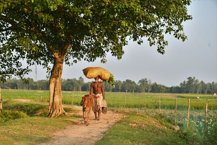 Local Train Journey & Village Life from Delhi - Photo 1 of 7