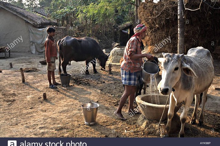 Village Tour - Photo 1 of 8