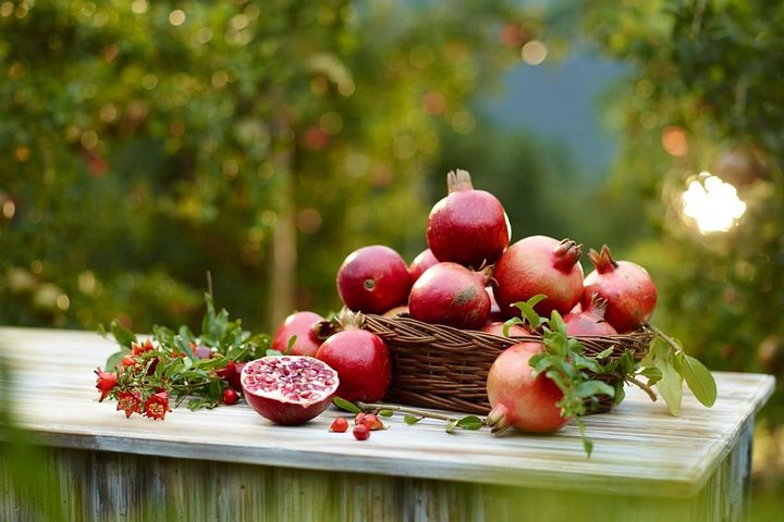 Organic Farm in Cumbum Valley