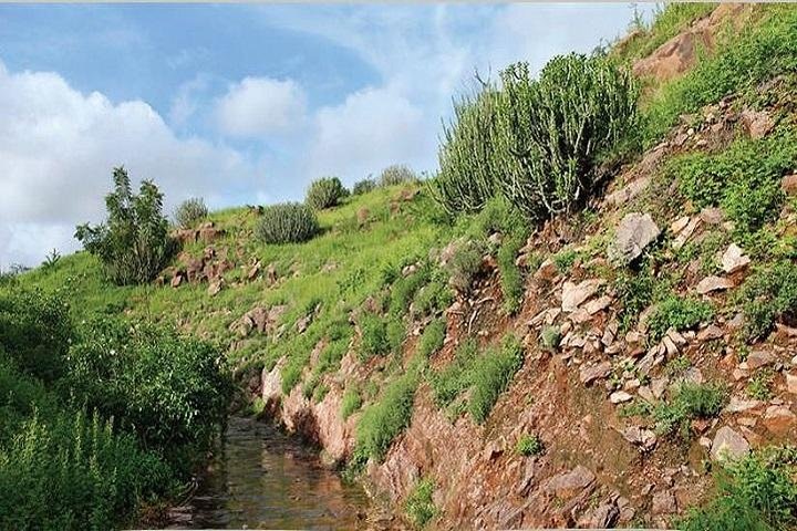 Visit To Rao Jodha Desert Rock Park, Jodhpur - Photo 1 of 7