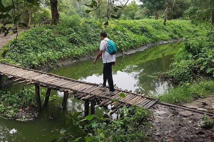 crossing a bamboo bridge