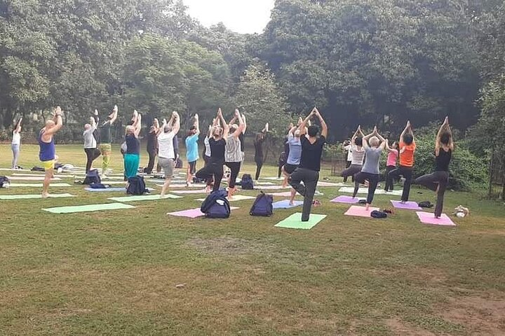 Yoga Tour To India  - Photo 1 of 19