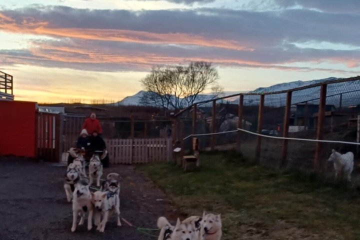 Dog cart-ride in Akureyri - Photo 1 of 6