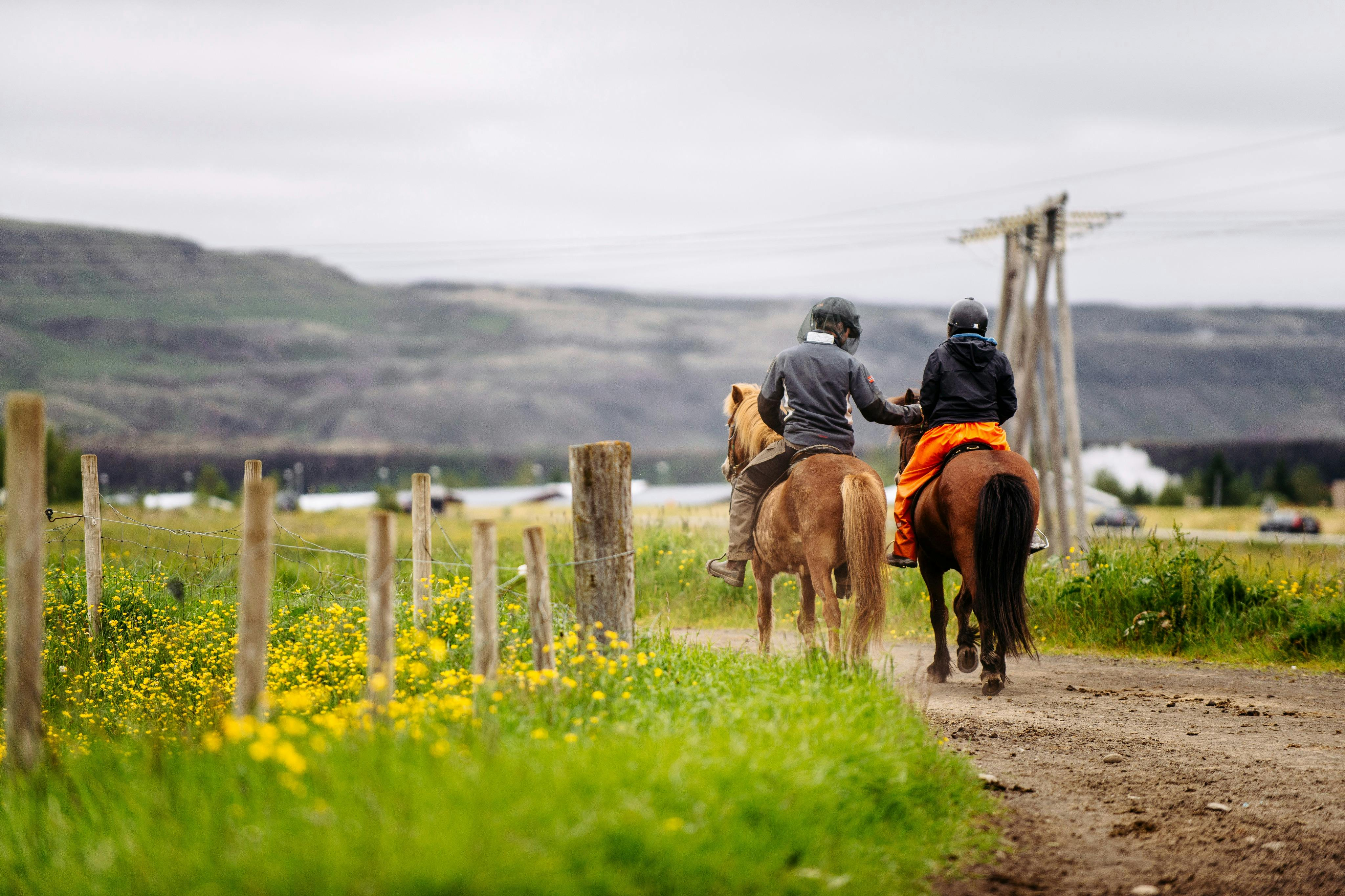 Iceland: Horseback Riding - Countryside Tour - Photo 1 of 3
