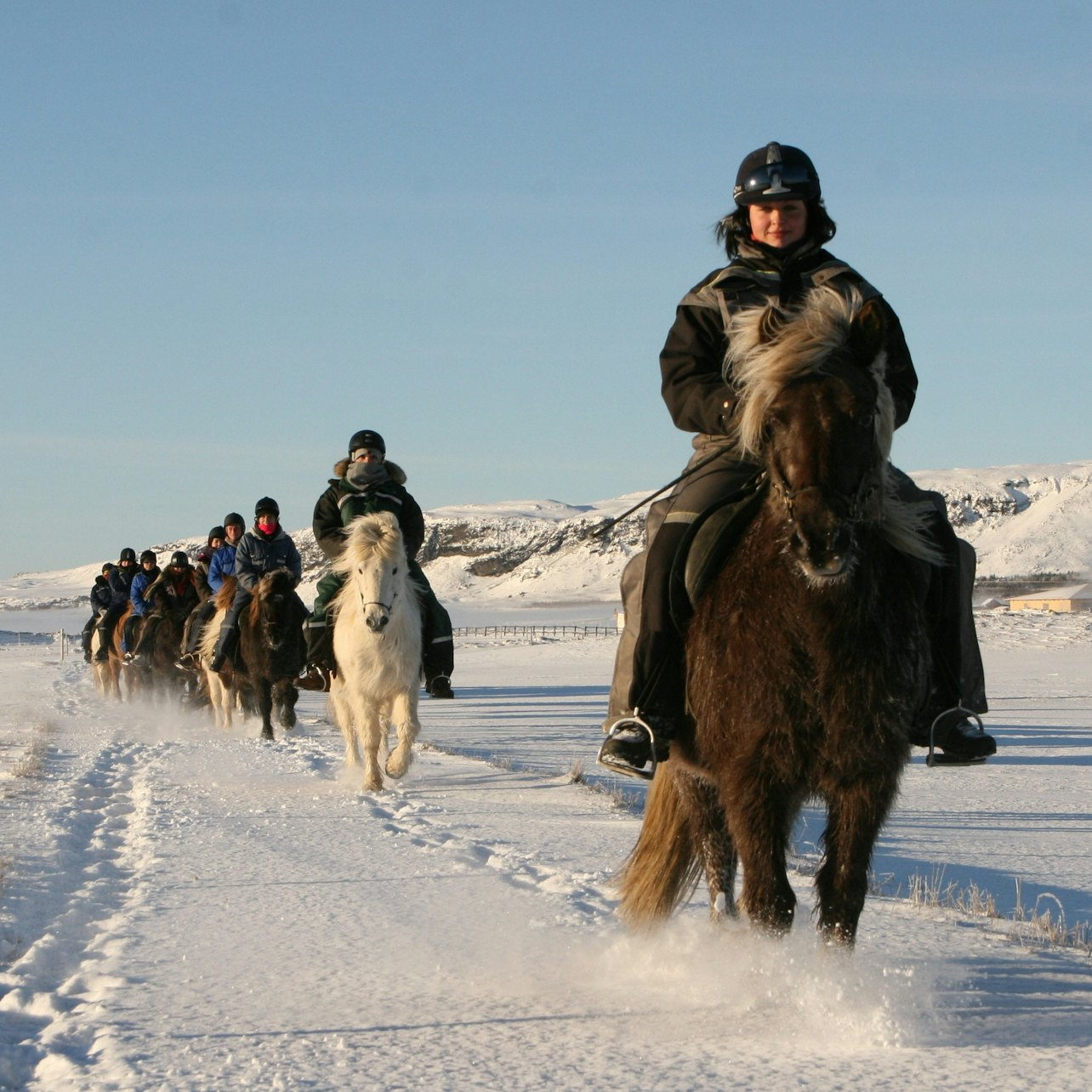 Iceland: Horseback Riding - Siggi Tour - Photo 1 of 3
