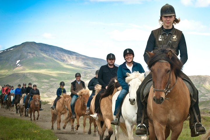 Experience the joy of horseback riding through Iceland's stunning landscapes surrounded by the gentle charm of Icelandic horses perfect for riders of all ages and skill levels.