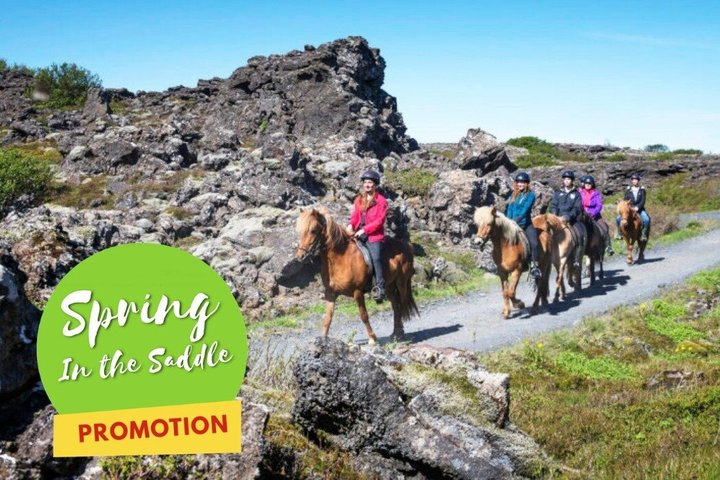Icelandic Horseback Riding Tour with Pickup Option from Reykjavik - Photo 1 of 13