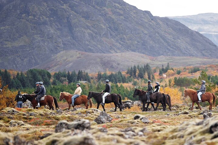 Icelandic Horseback Riding Tour with Pickup Option from Reykjavik - Photo 1 of 12